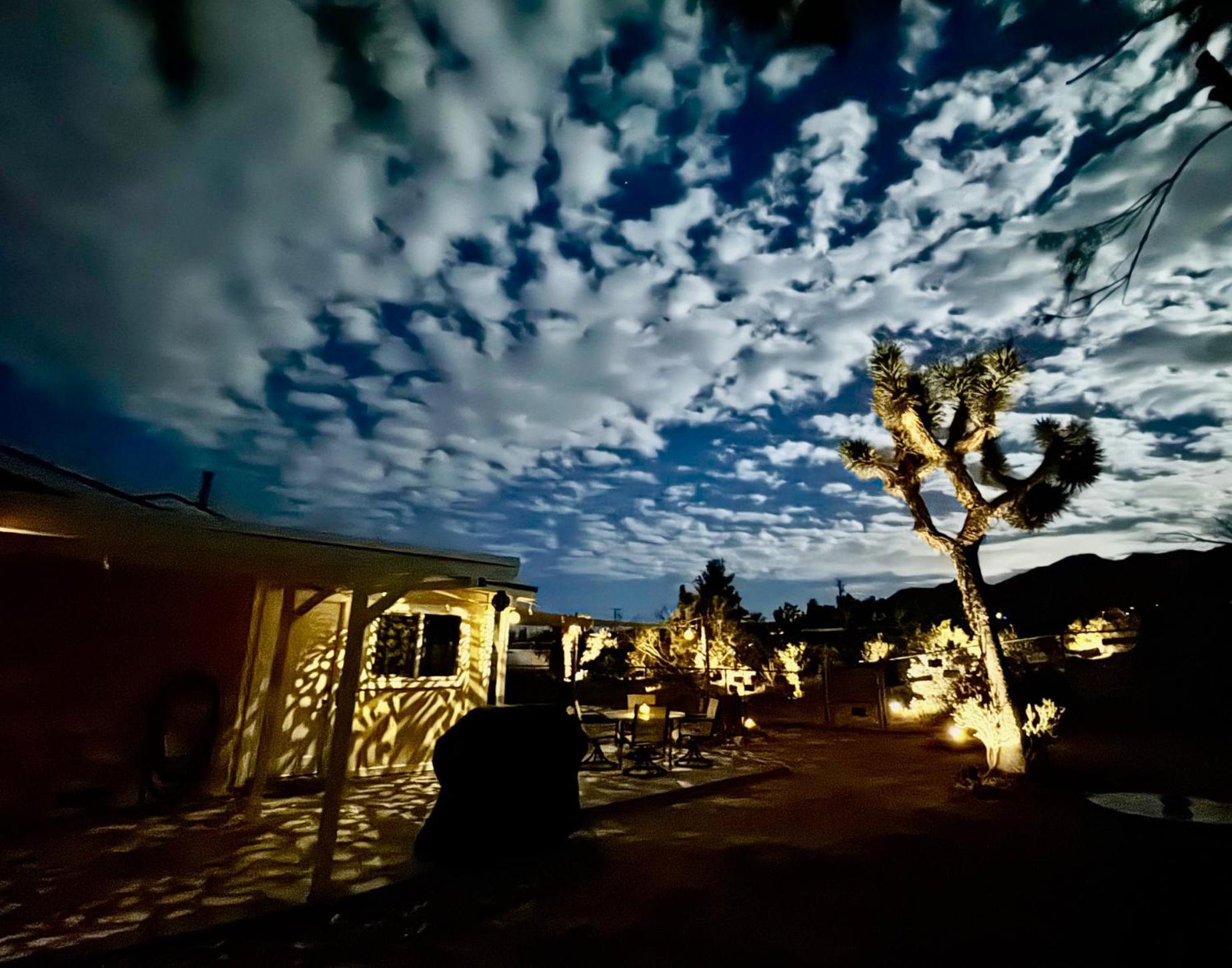 Float Pool, Hot Tub, Sauna, Views, Telescope-Skywatchers Haven Joshua Tree Eksteriør bilde
